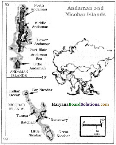 HBSE 8th Class English Solutions Honeydew Chapter 2 The Tsunami-1