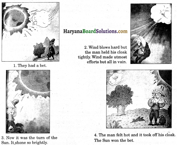 HBSE 8th Class English Solutions Honeydew Chapter 3 Glimpses of the Past-9