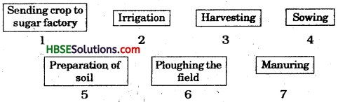 HBSE 8th Class Science Solutions Chapter 1 Crop Production and Management-1