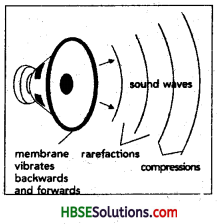 HBSE 8th Class Science Solutions Chapter 13 Sound 5