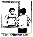 HBSE 8th Class Science Solutions Chapter 16 Light 11