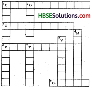 HBSE 8th Class Science Solutions Chapter 8 Cell Structure and Functions-3