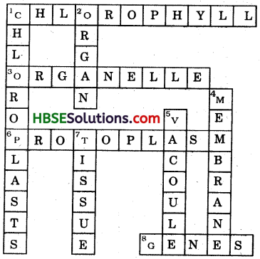 HBSE 8th Class Science Solutions Chapter 8 Cell Structure and Functions-4