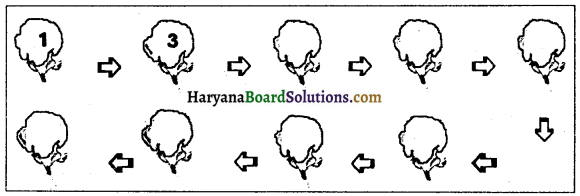 HBSE 7th Class Social Science Solutions Civics Chapter 9 बाज़ार में एक कमीज़-1