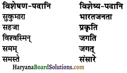HBSE 8th Class Sanskrit Solutions Ruchira Chapter 7 भारतजनताऽहम् 2