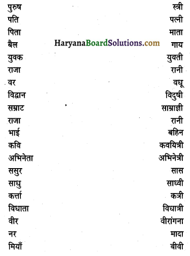 HBSE 10th Class Hindi Vyakaran संज्ञा -10