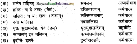 HBSE 10th Class Sanskrit Solutions Shemushi Chapter 1 शुचिपर्यावरणम् img-2