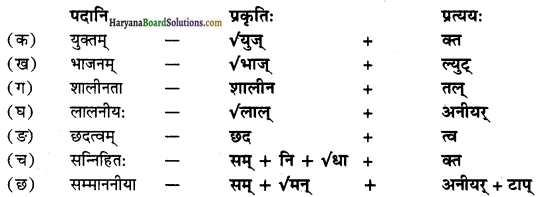 HBSE 10th Class Sanskrit Solutions Shemushi Chapter 4 शिशुलालनम् img-2