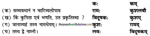 HBSE 10th Class Sanskrit Solutions Shemushi Chapter 4 शिशुलालनम् img-3