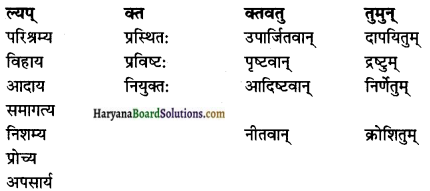 HBSE 10th Class Sanskrit Solutions Shemushi Chapter 8 विचित्रः साक्षी img-2