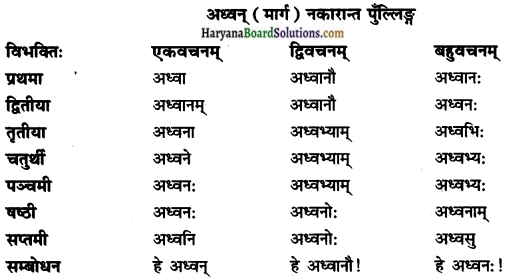 HBSE 10th Class Sanskrit Solutions Shemushi Chapter 8 विचित्रः साक्षी img-4