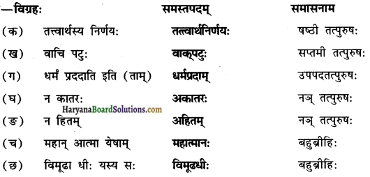 HBSE 10th Class Sanskrit Solutions Shemushi Chapter 9 सूक्तयः img-3