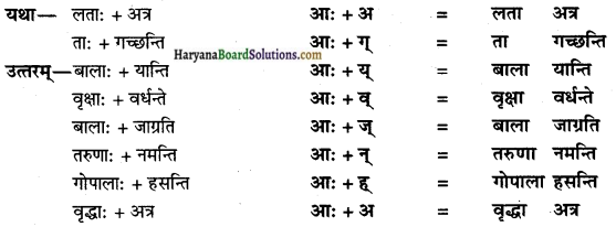 HBSE 10th Class Sanskrit vyakaran sandhi prakaranam img-1