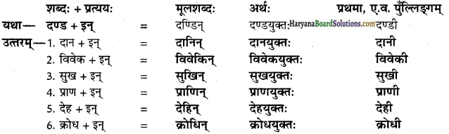 HBSE 10th Class Sanskrit vyakaranPratyaya img-11
