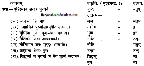 HBSE 10th Class Sanskrit vyakaranPratyaya img-13