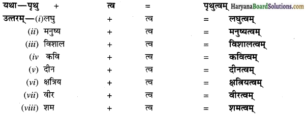 HBSE 10th Class Sanskrit vyakaranPratyaya img-15