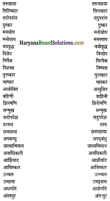 HBSE 12th Class Hindi Vyakaran वाक्य-शोधन 2