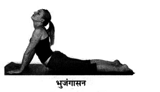 HBSE 9th Class Physical Education Solutions Chapter 5 योग का अर्थ, परिभाषा एवं महत्त्व 10