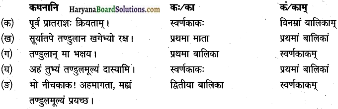 HBSE 9th Class Sanskrit Solutions Shemushi Chapter 2 img-1