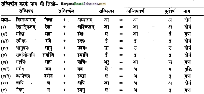 HBSE 9th Class Sanskrit व्याकरणम् सन्धिः img-13