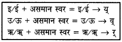 HBSE 9th Class Sanskrit व्याकरणम् सन्धिः img-14