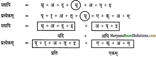 HBSE 9th Class Sanskrit व्याकरणम् सन्धिः img-15