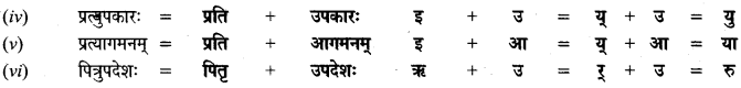HBSE 9th Class Sanskrit व्याकरणम् सन्धिः img-16