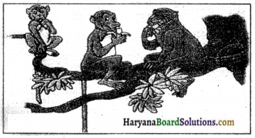 Haryana Board 10th Class Sanskrit Chitradharitam Lekhanam img-3
