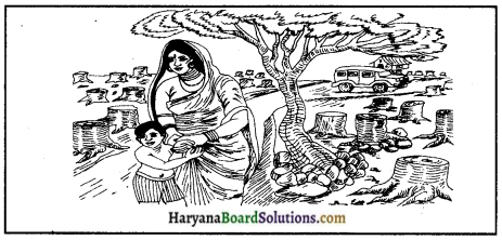 Haryana Board 10th Class Sanskrit Chitradharitam Lekhanam img-7