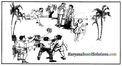 Haryana Board 10th Class Sanskrit Chitradharitam Lekhanam img-8
