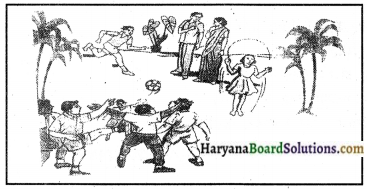 Haryana Board 10th Class Sanskrit Chitradharitam Lekhanam img-9
