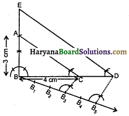 HBSE 10th Class Maths Solutions Chapter 11 रचनाएँ Ex 11.1 7