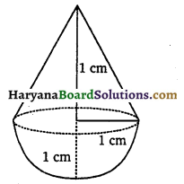 HBSE 10th Class Maths Solutions Chapter 13 पृष्ठीय क्षेत्रफल और आयतन Ex 13.2 1