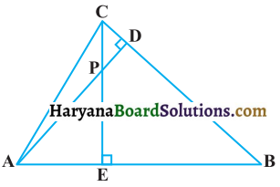 HBSE 10th Class Maths Solutions Chapter 6 त्रिभुज Ex 6.3 12
