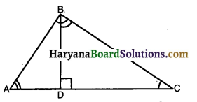 HBSE 10th Class Maths Solutions Chapter 6 त्रिभुज Ex 6.5 1
