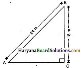 HBSE 10th Class Maths Solutions Chapter 6 त्रिभुज Ex 6.5 12