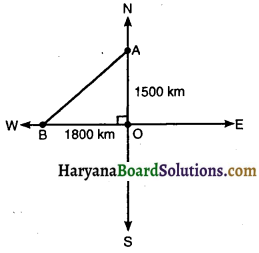 HBSE 10th Class Maths Solutions Chapter 6 त्रिभुज Ex 6.5 13