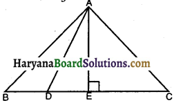 HBSE 10th Class Maths Solutions Chapter 6 त्रिभुज Ex 6.5 17