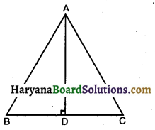 HBSE 10th Class Maths Solutions Chapter 6 त्रिभुज Ex 6.5 8