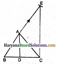 HBSE 10th Class Maths Solutions Chapter 6 त्रिभुज Ex 6.6 11
