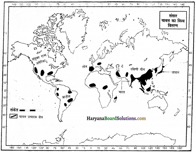 HBSE 12th Class Geography Important Questions Chapter 5 प्राथमिक क्रियाएँ 1