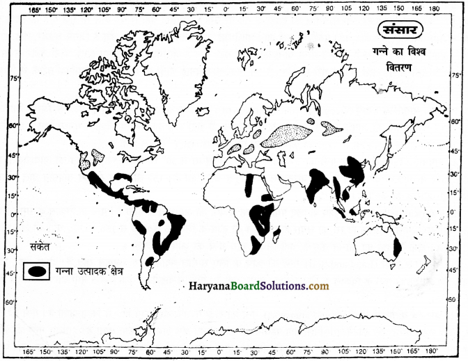 HBSE 12th Class Geography Important Questions Chapter 5 प्राथमिक क्रियाएँ 4