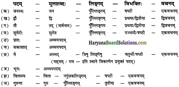 HBSE 12th Class Sanskrit Solutions Shashwati Chapter 2 रघुकौत्ससंवादः img-1