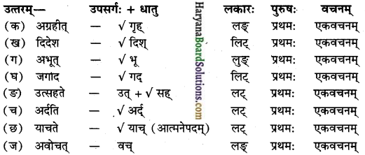 HBSE 12th Class Sanskrit Solutions Shashwati Chapter 2 रघुकौत्ससंवादः img-2