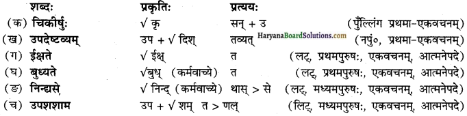HBSE 12th Class Sanskrit Solutions Shashwati Chapter 5 शुकनासोपदेशः img-2
