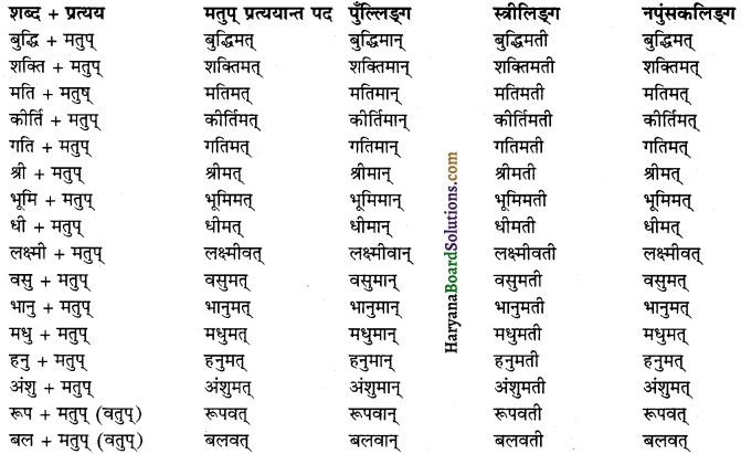 HBSE 12th Class Sanskrit व्याकरणम् प्रत्ययाः 1
