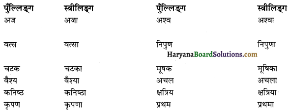 HBSE 12th Class Sanskrit व्याकरणम् प्रत्ययाः 14