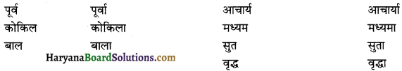 HBSE 12th Class Sanskrit व्याकरणम् प्रत्ययाः 15