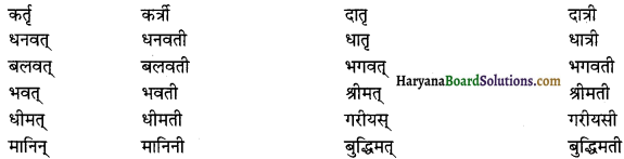 HBSE 12th Class Sanskrit व्याकरणम् प्रत्ययाः 18