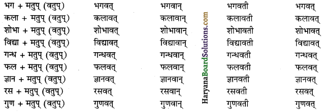 HBSE 12th Class Sanskrit व्याकरणम् प्रत्ययाः 2